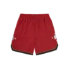 Astro Star Mesh-Basketballshorts