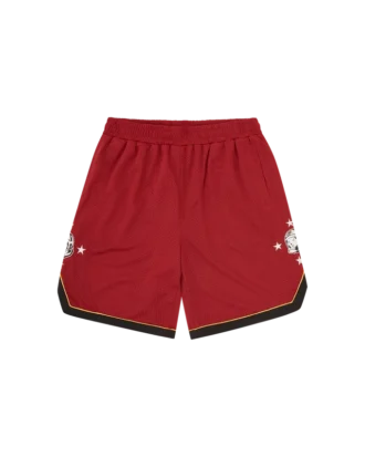 Astro Star Mesh-Basketballshorts