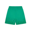 Bade-Shorts „Running Dog“ mit Schlangenhaut-Farbverlauf